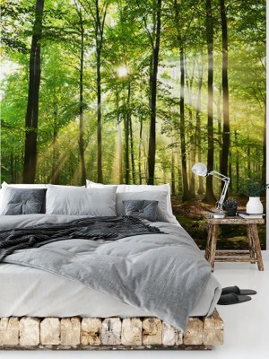 fotolia-57321532-subscription-monthly-l