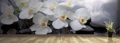 Fototapeta Kwiat białej orchidei jako koncepcja relaksu w salonie SPA