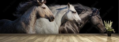 Fototapeta Portret stada koni na czarnym tle