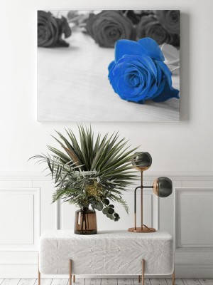 Obraz na płótnie Niebieska róża na czarno białym tle