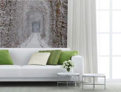 Fototapeta Tunel miłości w zimie