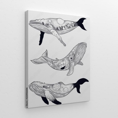 ilustracja-faz-aktywnosci-ksiezyca-na-sylwetce-wieloryba