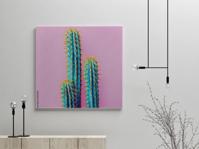 kaktus-w-koncepcji-kreatywnego-minimalizmu