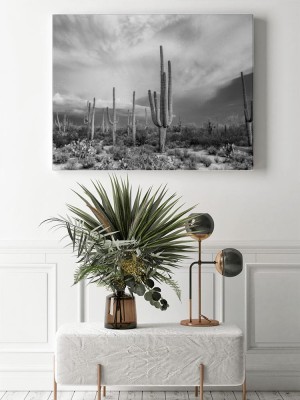 Obrazy do salonu Las Saguaro w Parku Narodowym Saguaro (czarno-biały) - Pustynia Sonoran, Arizona, USA