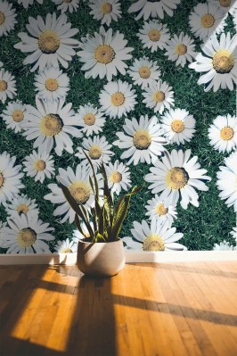 Tapeta w stylu vintage ze stokrotkami na łące