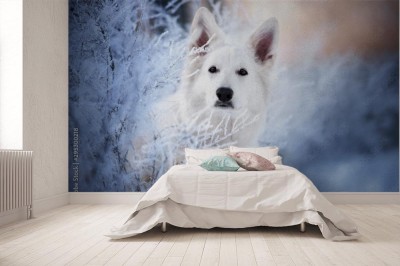 Fototapeta Biały owczarek w zimie