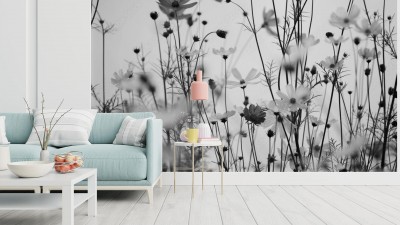 Fototapeta Czarno-białe amerykańskie kwiatki polne