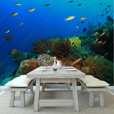 Fototapeta z motywem akwarystycznym