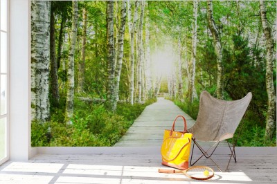 Fototapeta Drewniana kładka w zielonym lesie brzozowym w Schwarzwaldzie wieczorem z zachodzącym słońcem