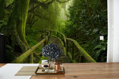 Fototapeta Drewniany most w dżungli