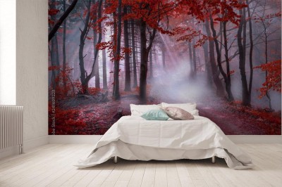 Fototapeta Mistyczny czerwony las
