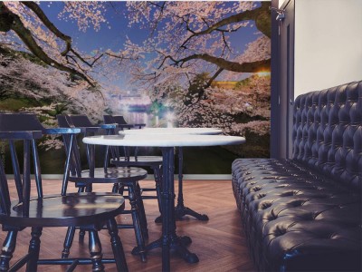 Fototapeta Wiśniowe kwiaty w nocy