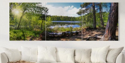 Obrazy do salonu Leśna panorama nad brzegiem jeziora