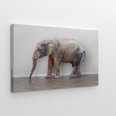 Obraz na płótnie Słoń w pokoju