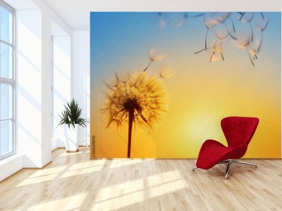 Fototapeta Dmuchawiec na tle zachodzącego słońca