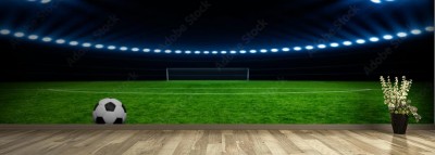 Fototapeta Piłka nożna na zielonym stadionie