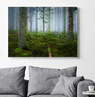 Obraz na płótnie Scena w ciemnym mglistym lesie sosnowym z dywanem z mchu i powalonymi pniami drzew w Alzacji Francuskiej