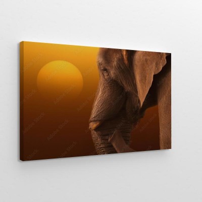 wizerunek-slonia-przy-wschodzie-slonca