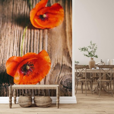 Fototapeta Dwa czerwone kwiaty maku na drewnianym stole