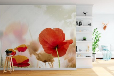 Fototapeta Maki są zawsze modne