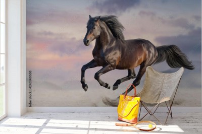 Fototapeta Podpalany koń w cwale po pustynnym piasku