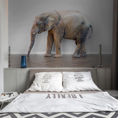 Fototapeta Słoń w pokoju