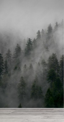 Fototapeta las i mgła