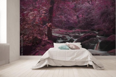 Fototapeta Niezwykły kolor lasu