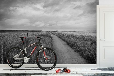 Fototapeta Ścieżka na wybrzeżu Morza Północnego w Nebel