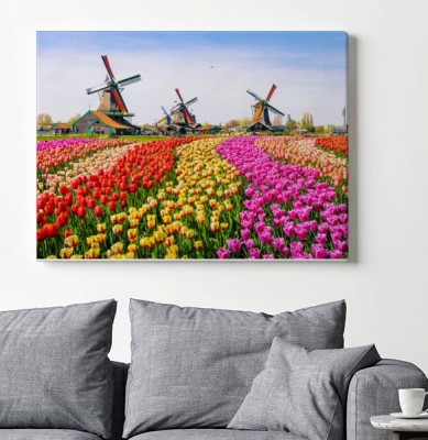 Obraz na płótnie Krajobraz z tulipanami w Zaanse Schans