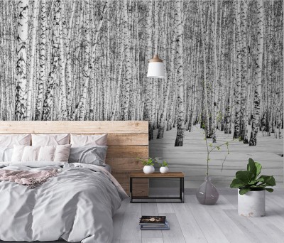 Fototapeta Czarno-biały brzozowy las w zimowym krajobrazie