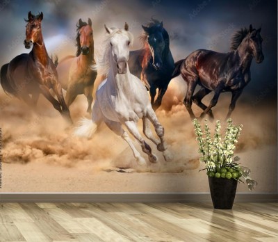 Fototapeta Galopujące konie podczas burzy piaskowej