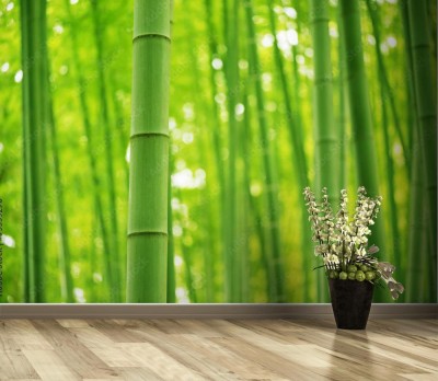 Fototapeta Las Bambusowy