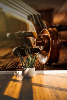 Fototapeta Skrzypce w stylu vintage