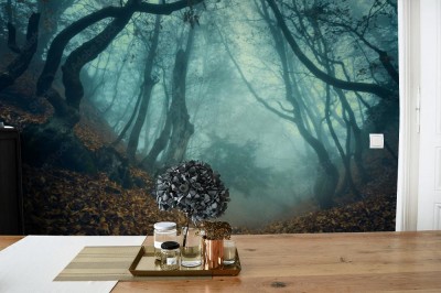 Fototapeta Wędruj przez tajemniczy ciemny stary las we mgle
