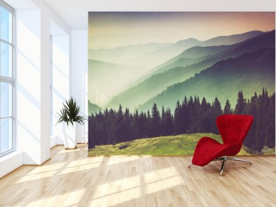 Fototapeta Zamglony las w górskiej dolinie