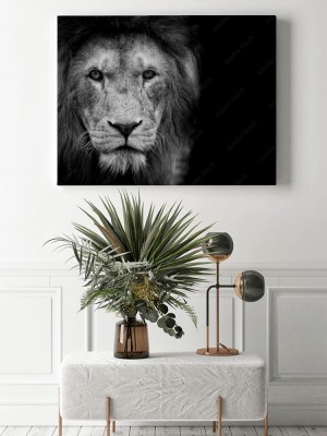 Obrazy do salonu Czarno-biały lew