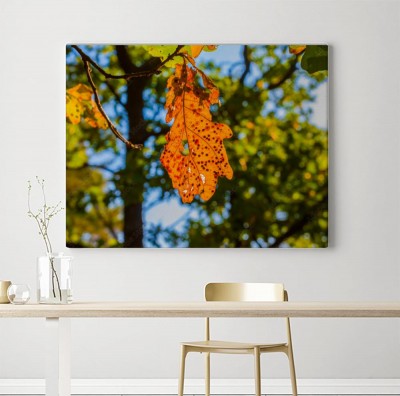 Obraz na płótnie Piękne tło błękitnego letniego nieba