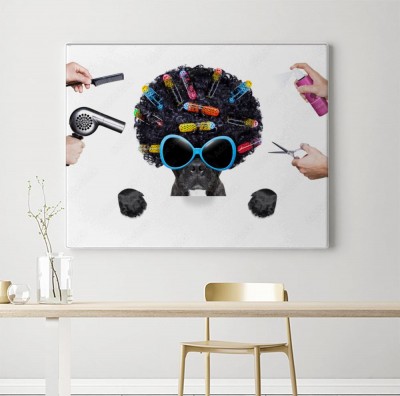 Obraz na płótnie pies wybrał się do fryzjera