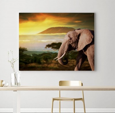 Obraz na płótnie Słoń na sawannie