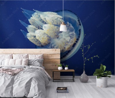 Fototapeta Meduza poruszająca się w morzu