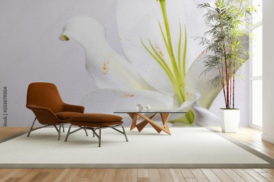 Fototapeta Kwiat lilii w skali makro