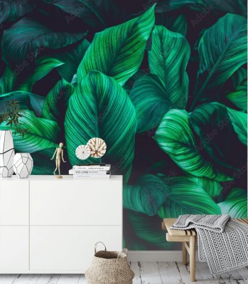 Fototapeta Liście Spathiphyllum cannifolium