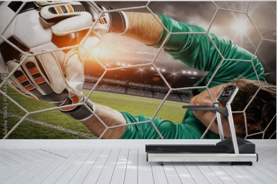 Fototapeta Obrona bramkarska