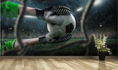 Fototapeta Piłka w rękawicach bramkarskich