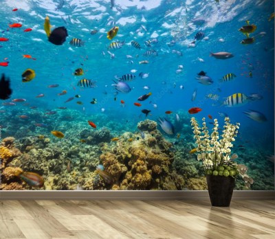 Fototapeta Rafa koralowa i tropikalna ryba w Morzu Czerwonym