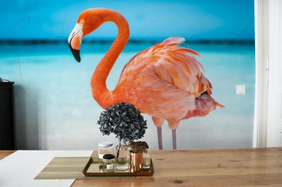 Fototapeta Różowy flaming