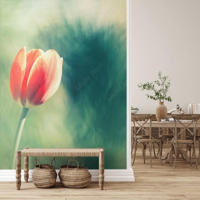 Fototapeta Różowy tulipan na pięknym rozmytym tle