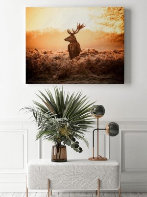 Obraz na płótnie Jeleń w porannym słońcu