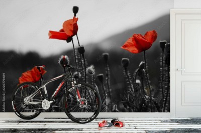 Fototapeta Piękne maki i czarno-białe tło